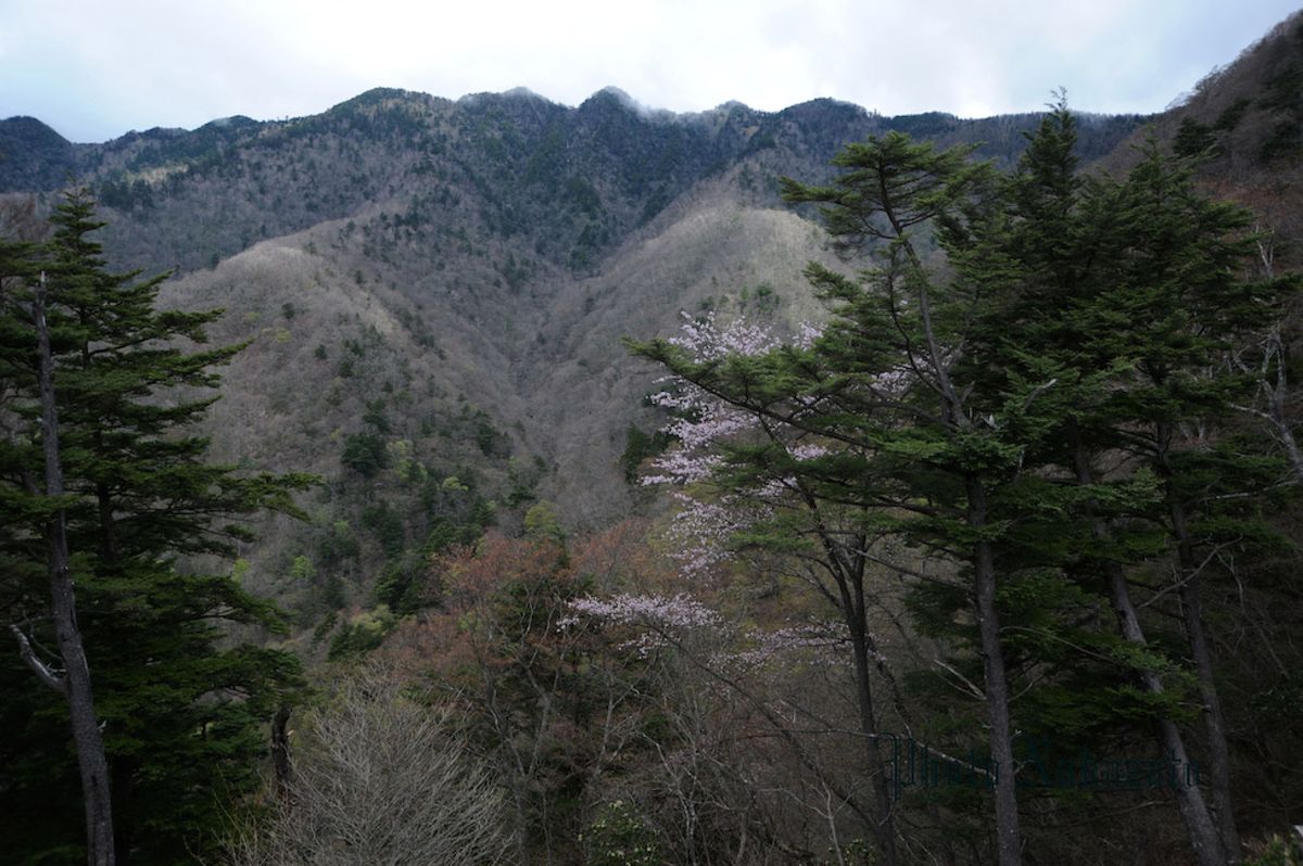 雲取山　日帰り登山